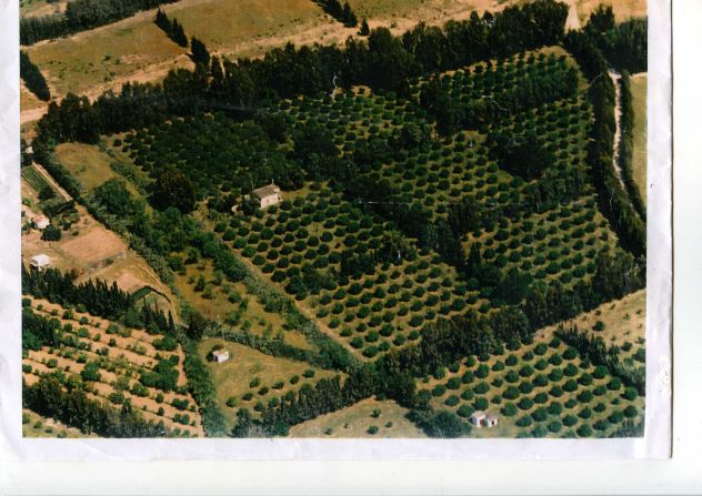 Fabbricato con terreno produttivo a 7 km da Capo Ferrato