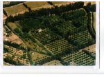 Fabbricato con terreno  produttivo a 7 km da Capo Ferrato