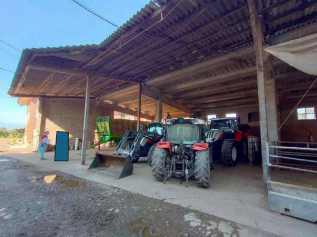 Immobile in asta di 311 m² con più di 5 locali in vendita a Sant'Albano Stura - Foto 7