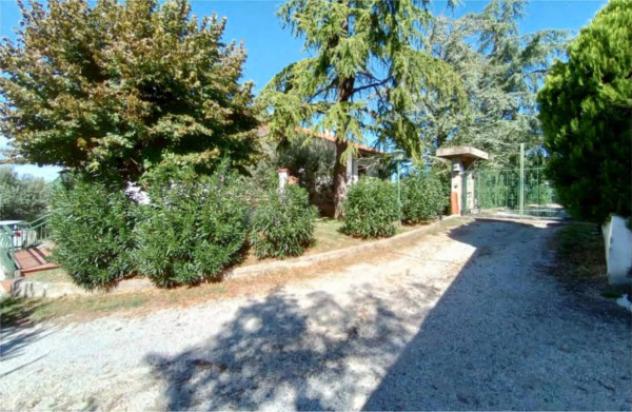 Immobile in asta di 296 m² con più di 5 locali e box auto in vendita a Vallefoglia - Foto 4