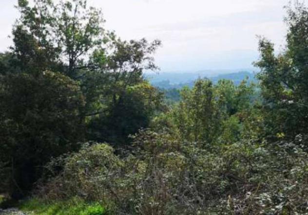 Immobile in asta di 54494 m² in vendita a Barberino di Mugello - Foto 14