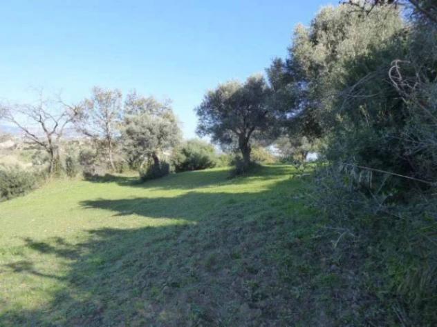Immobile in asta di 6430 m² in vendita a Casignana - Foto 11
