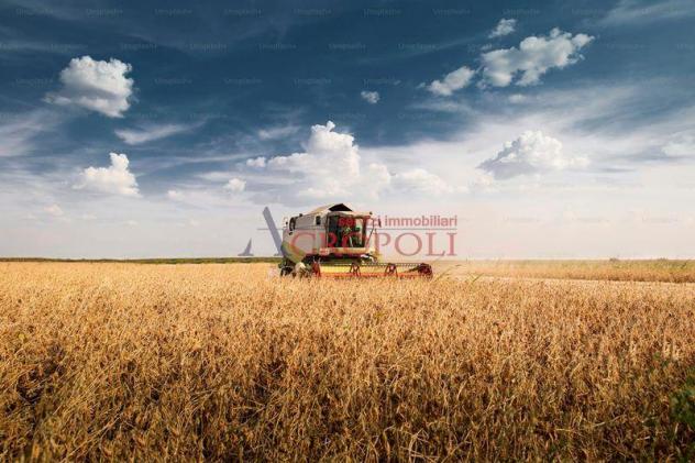 FIUMICINO, CASALE CON TERRENO AGRICOLO IN VENDITA