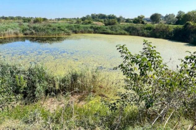 Immobile in asta di 104000 m² in vendita a Forlimpopoli - Foto 17