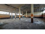 Magazzino in vendita a Pontedera 556 mq  Rif: 1379399