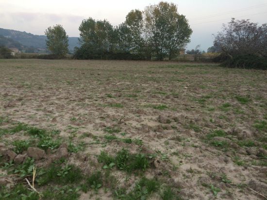 Capaccio Paestum loc. Scigliati Terreno agricolo - Foto 3