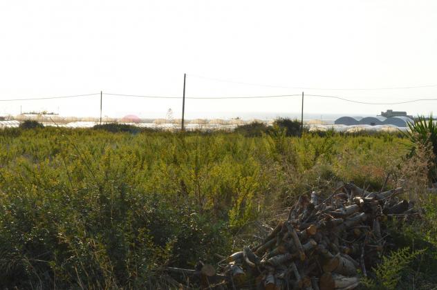 Terreno in vendita a Pachino - Foto 11