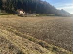 Terreno edificabile in vendita a Tregnago