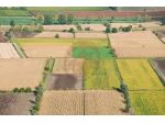 Terreno a Vigonza - Rif. T19
