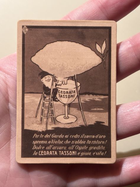 CALAMITA/MAGNETE NUOVA QUASI INTROVABILE DA COLLEZIONE ORIGINALE CEDRATA TASSONI - Foto 6
