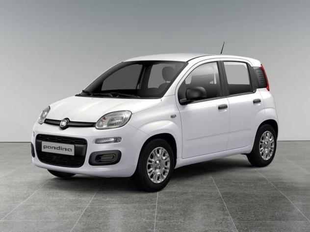 FIAT Pandina Pandina 1.0 firefly hybrid Icon s&s 65cv 5p.ti