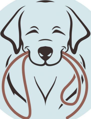 DOG SITTER e PENSIONE CASALINGA per i Vostri Cani tutto l'anno - Foto 2