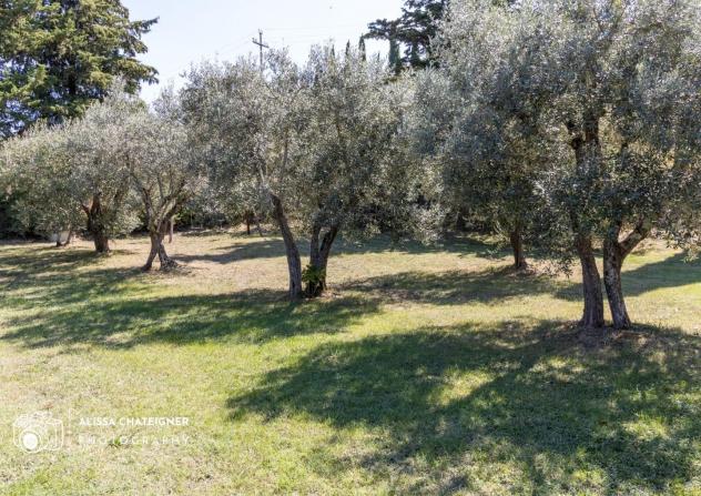 Casale in vendita a San Gimignano 400 mq Rif: 1318107 - Foto 2