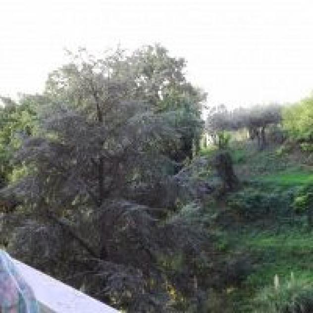 Accogliente e Ospitale B&B - Foto 4