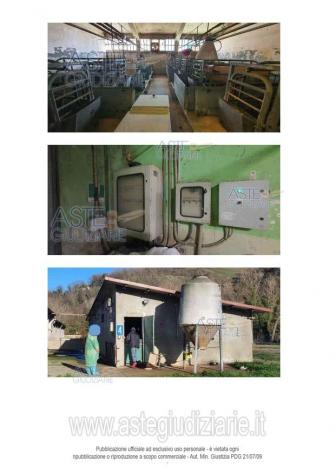 IMMOBILI-ALTRA CATEGORIA-Via del Molino n. 24 - Foto 9