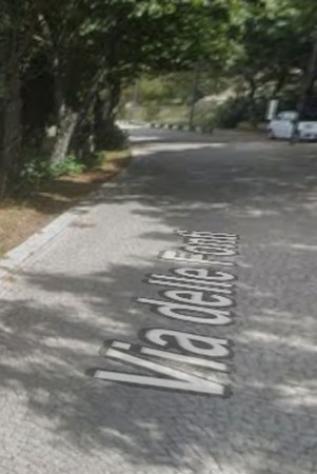 Immobile in asta di 4732 m² in vendita a Tempio Pausania - Foto 10