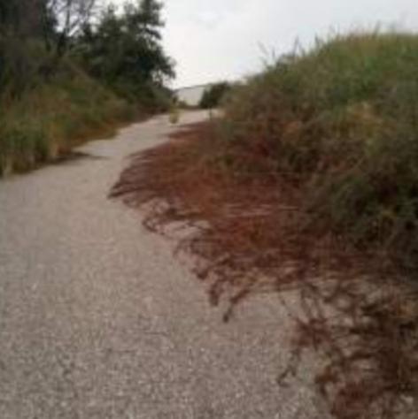 Immobile in asta di 21130 m² in vendita a Torano Castello - Foto 6