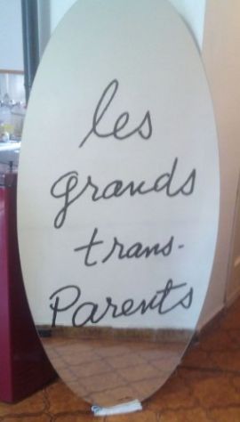 VENDO SPECCHIO LES GRANDS TRASPARENTS