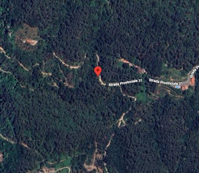 TERRENO BOSCHIVO CON SORGENTE NATURALE BUGGIANO PT