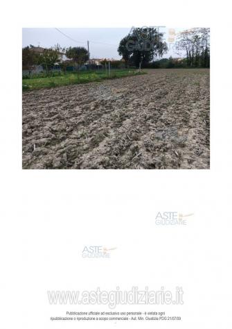 IMMOBILI-ALTRA CATEGORIA-Via Santa Maria Apparve, 60010 Ostra AN, Italia - Foto 4