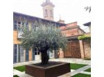 Il Cortile di San Michele