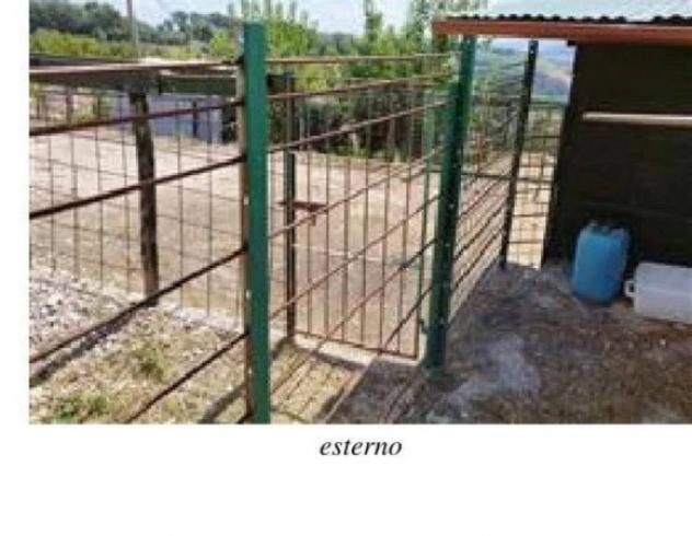 Immobile in asta di 844 m² in vendita a Montefelcino - Foto 11