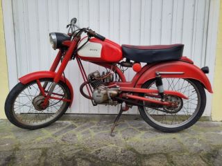 Laverdino 40 1960