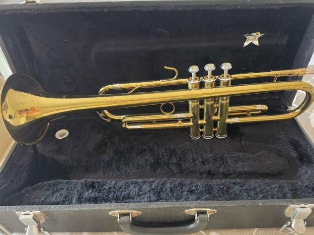 Tromba Century in buono stato compresa di custodia vendo - Foto 9