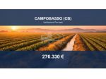 Immobile in asta di 40140 m² in vendita a Campobasso