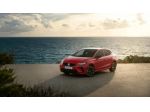 SEAT Ibiza 1.0 EcoTSI 115 CV DSG 5 porte Business rif. 23255917