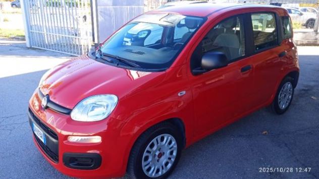 FIAT Panda 1.0 FireFly S&S Hybrid rif. 23002127