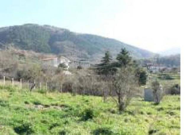 Immobile in asta di 216 m² con più di 5 locali e box auto in vendita a Santo Stefano del Sole - Foto 3