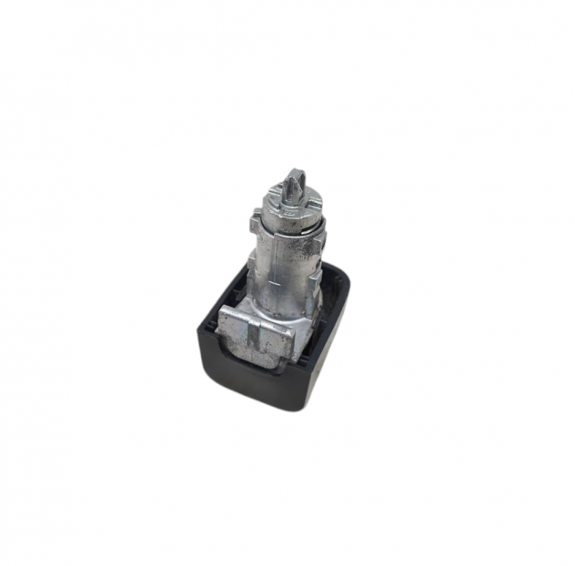 CILINDRETTO PORTIERA RENAULT Master 4° Serie 7701209836 (10) - Foto 7