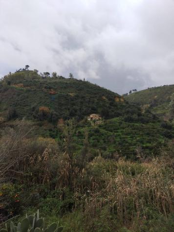 Rustico in vendita a Grammichele - Foto 19