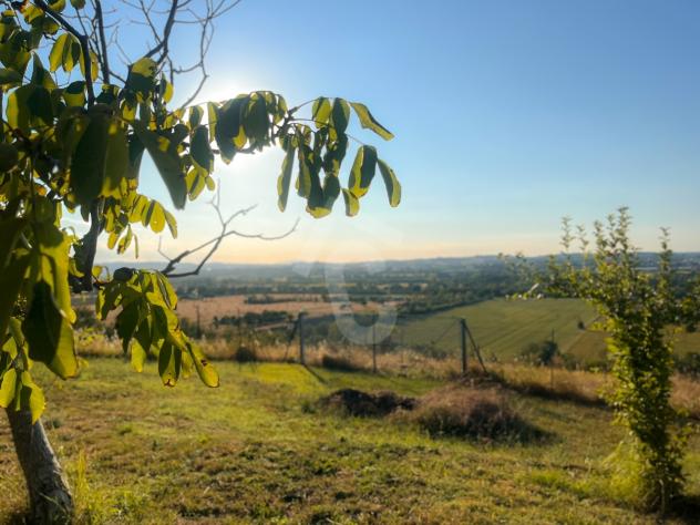Casale in vendita a Jesi - Foto 4