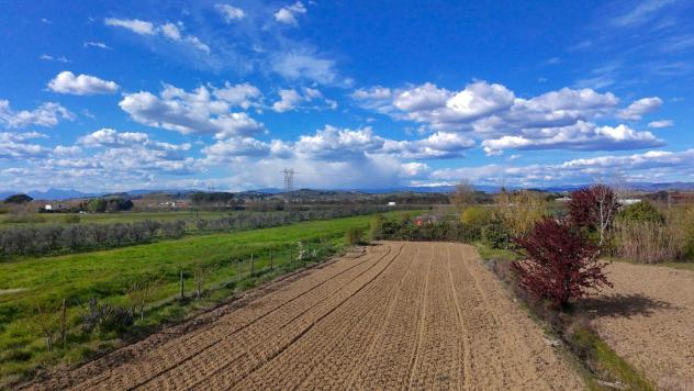 Terreno agricolo in vendita a San Miniato 10790 mq Rif: 1400261