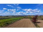 Terreno agricolo in vendita a San Miniato 10790 mq  Rif: 1400261