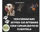 CERCASI DOG SITTER