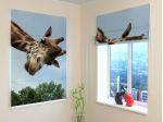 Tenda A Pacchetto - Con Una Giraffa - ARREDALACASA