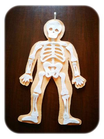 Libri Sensoriali bambini "Il Corpo Umano"