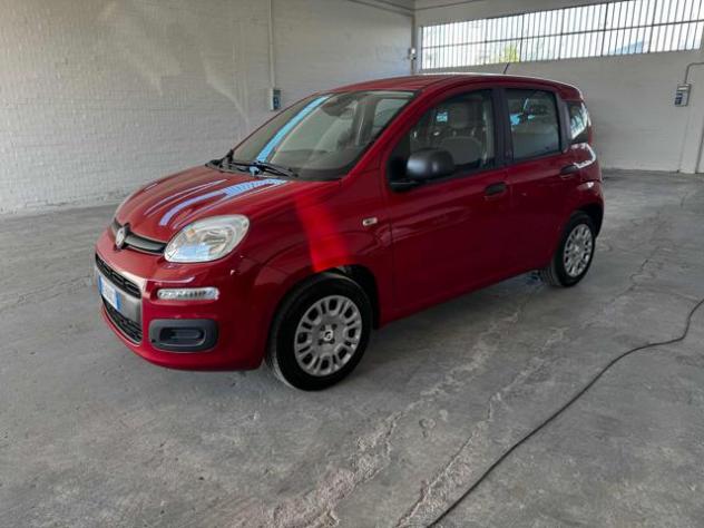 FIAT Panda 1.0 FireFly S&S Hybrid Icon rif. 24000249
