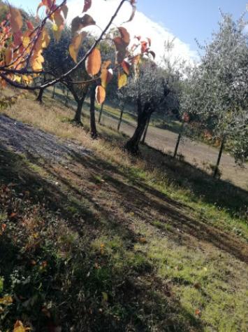 Terreno di 1637 m² in vendita a Val Liona - Foto 3