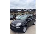 FIAT Panda 1.0 FireFly S&S Hybrid Pandina rif. 24166852