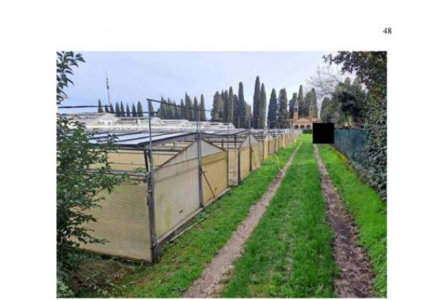 Immobile in asta di 26500 m² in vendita a Vittorio Veneto - Foto 13