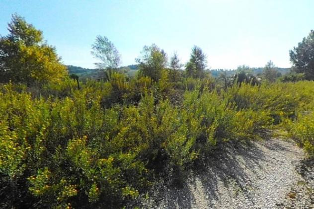Immobile in asta di 5280 m² in vendita a Recanati - Foto 4