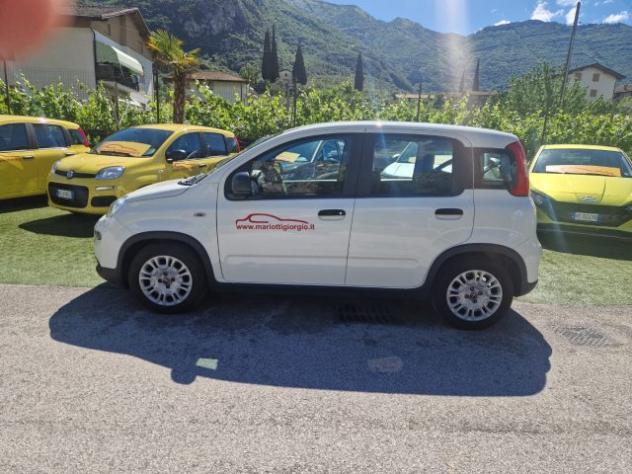 FIAT Panda 1.0 FireFly S&S Hybrid rif. 23698759 - Foto 2