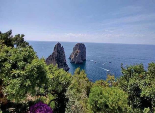 Immobile in asta di 404 m² con più di 5 locali in vendita a Capri - Foto 10