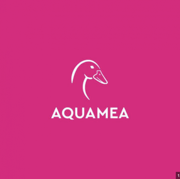 CONSULENTE PROMOZIONALE