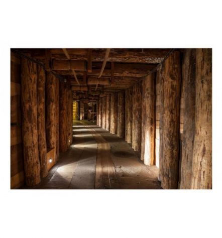 Fotomurale Adesivo Nel Tunnel Di Legno Arredalacasa - Foto 2
