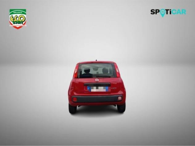 FIAT Panda 1.0 FireFly S&S Hybrid+GPL rif. 24175533 - Foto 6